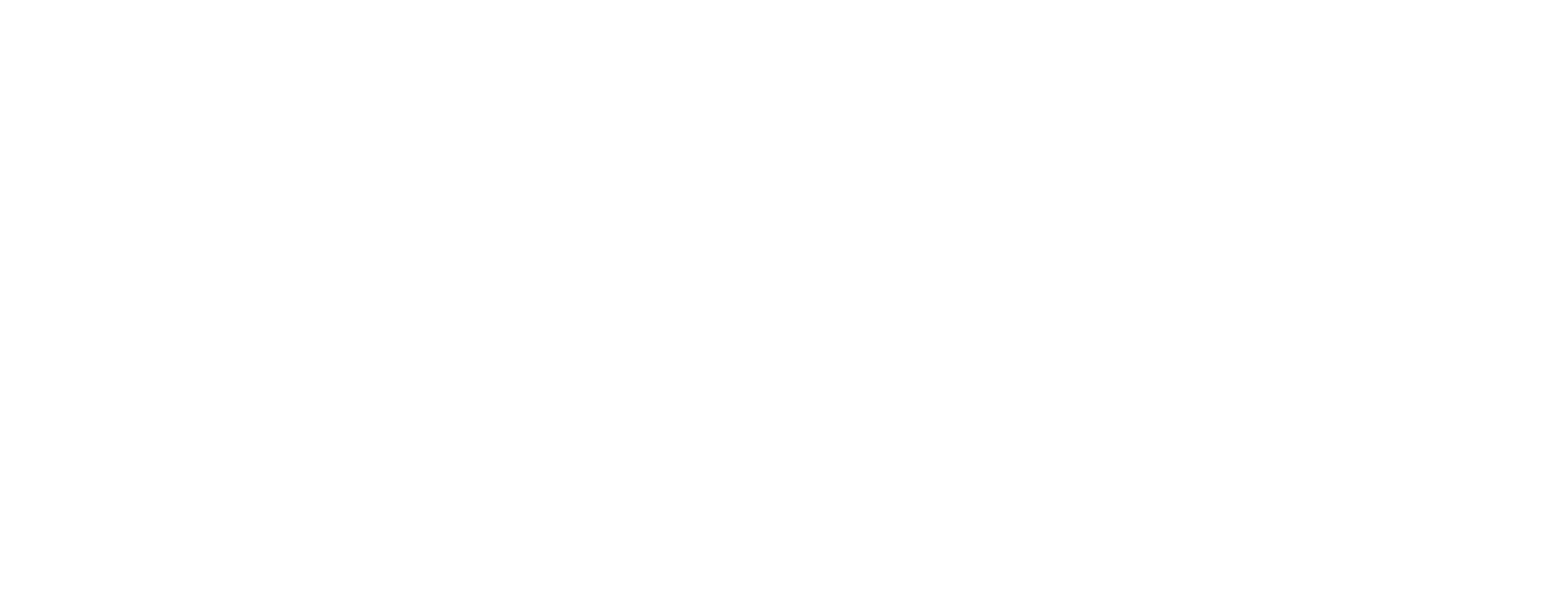 BIM Manager